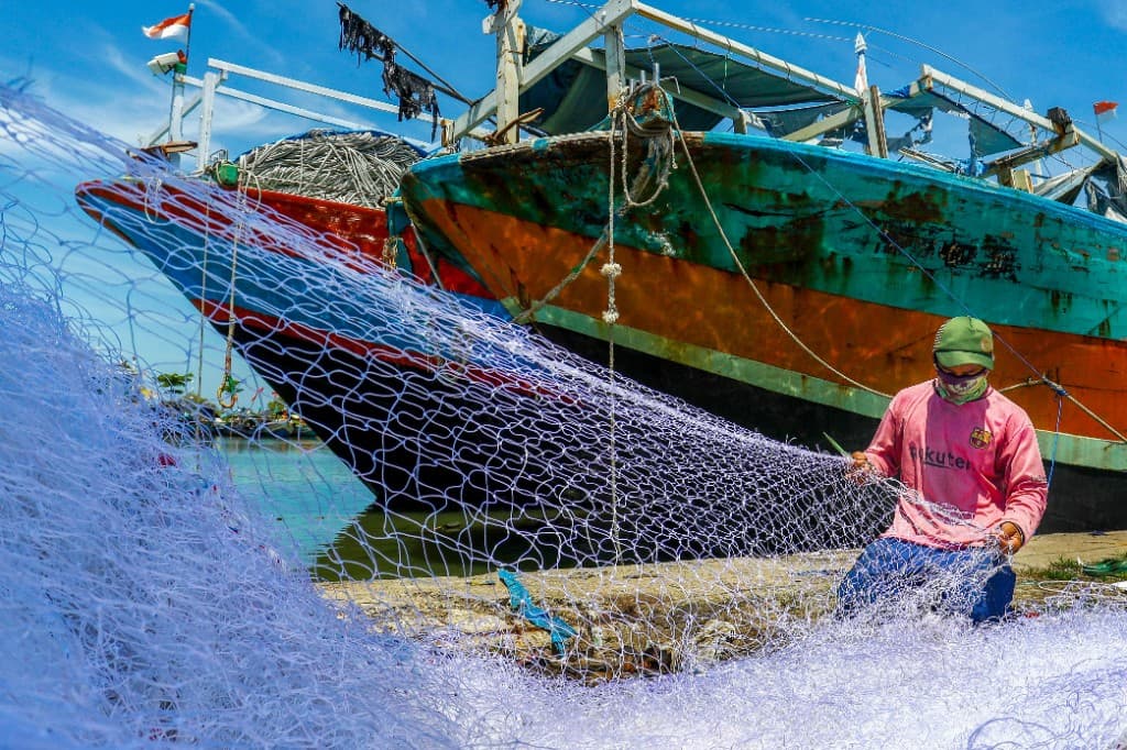 Coastal fisheries and the blue economy